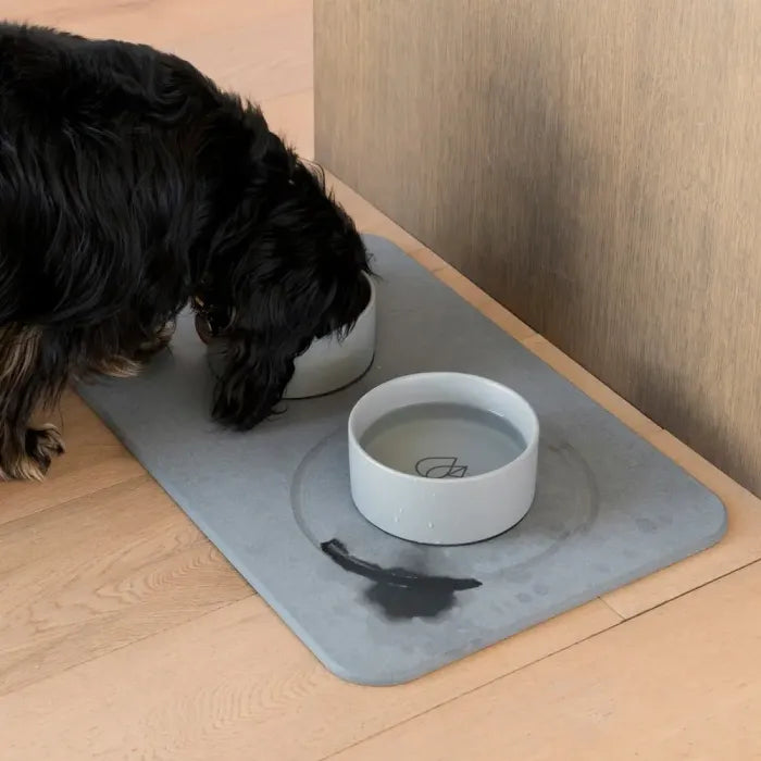 Dog Bowls