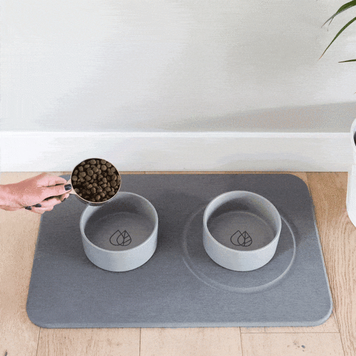 Dog Bowls
