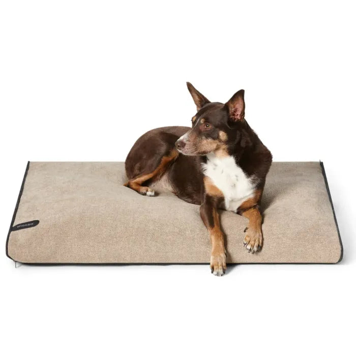 Dog Daybed