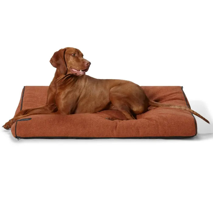 Dog Daybed