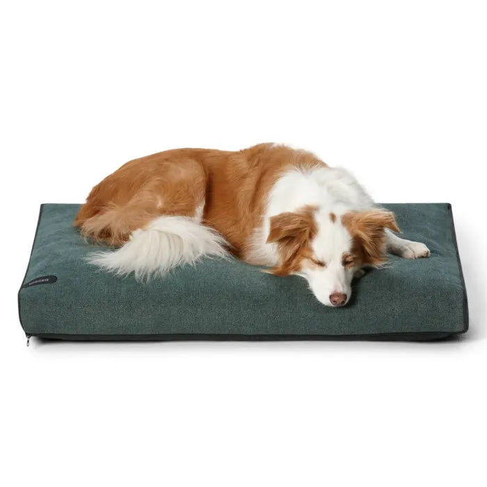 Dog Daybed