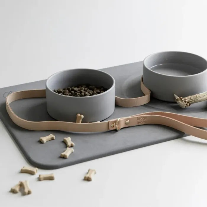 Dog Bowls